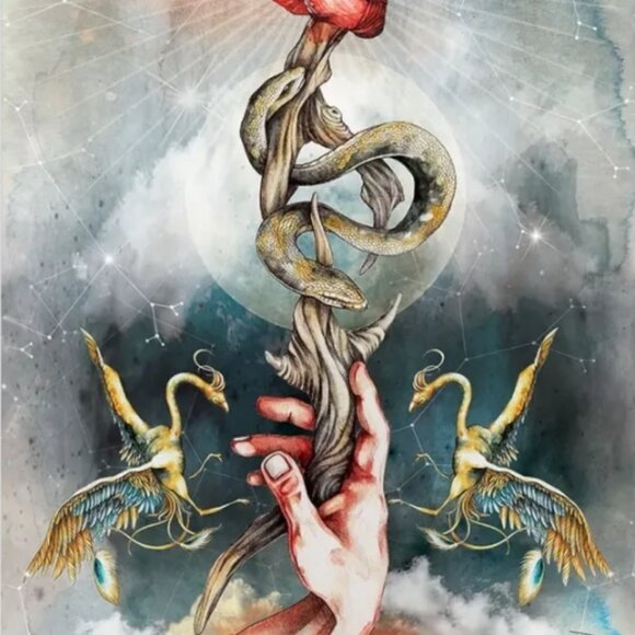 Lorenzi Tarot 78 card tarot 100 page color guidebook 78-card tarot deck CAT-atud - Picture 9 of 12